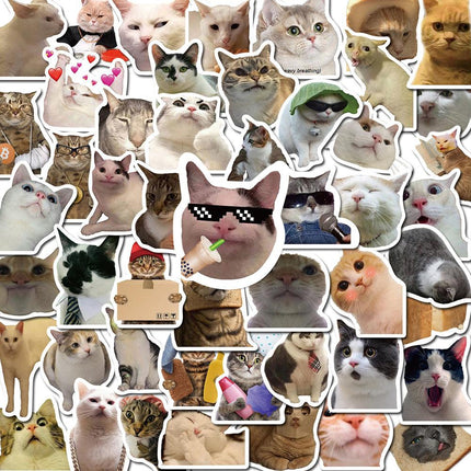 50 Katzenmeme Sticker - Zeug24 - Von hier kommt das Zeug
